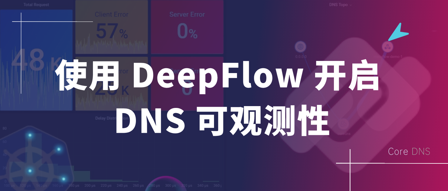 使用 DeepFlow 开启 DNS 可观测性